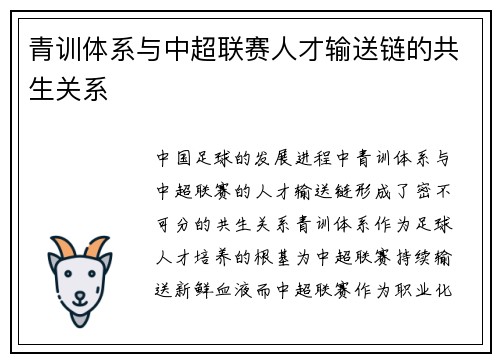 青训体系与中超联赛人才输送链的共生关系