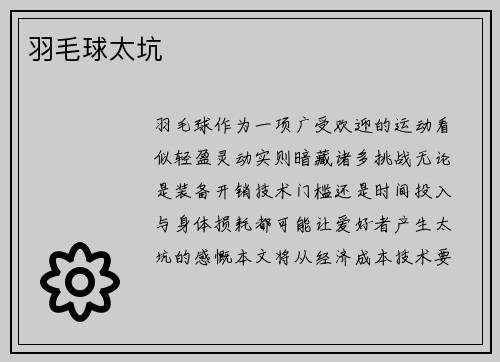 羽毛球太坑